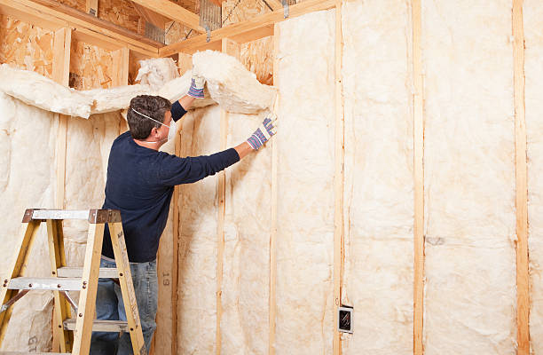 Types of Insulation We Offer in Andrews Af, MD